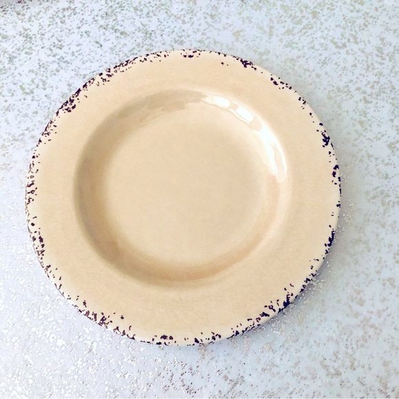 $5 SALE! NWT Set of 4 ASHLAND 8.5” Summer Fiesta Intentional Crackle Plates - Picture 2 of 5